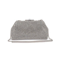 Delfina Evening Bag