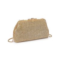 Delfina Evening Bag
