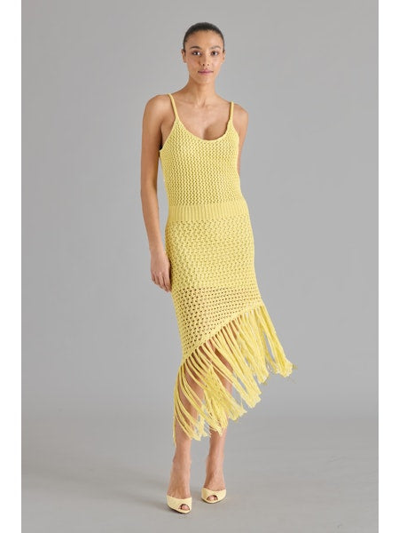 Sophiya Crochet Dress