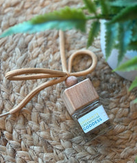 Bungalow Car Diffusers- Spring and Summer