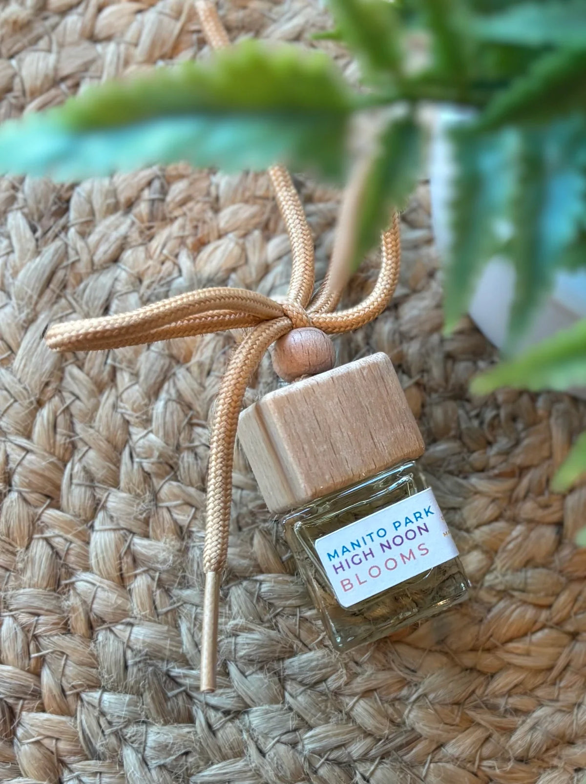 Bungalow Car Diffusers- Spring and Summer