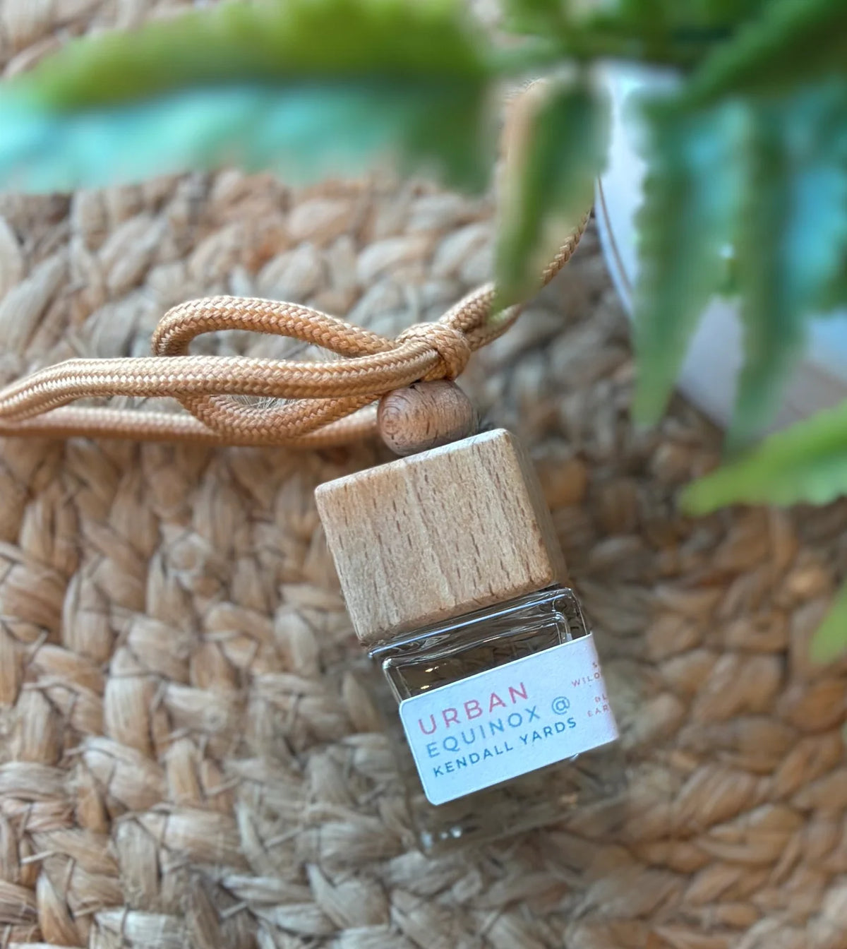 Bungalow Car Diffusers- Spring and Summer