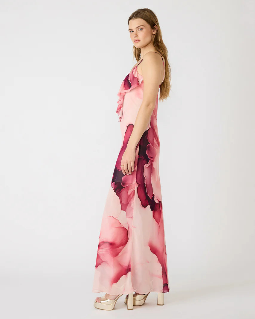 Maxinia Maxi Dress