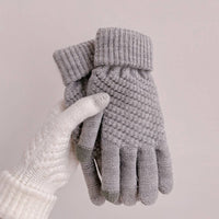 Cozy Knit Gloves