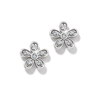 Enchanting Flower Post Earrings