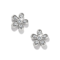 Enchanting Flower Post Earrings