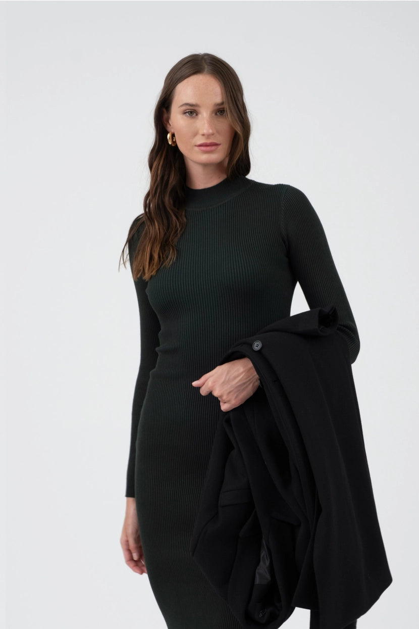 Hudson Sweater Dress