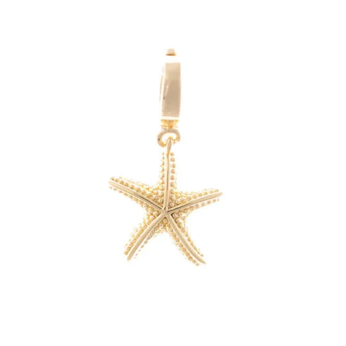 Close-up of the Michelle McDowell gold starfish charm, featuring realistic textured detailing and a secure clip-on bail.