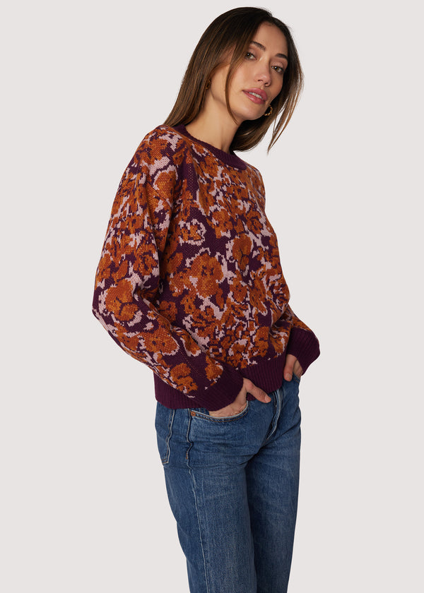Sontata Sweater
