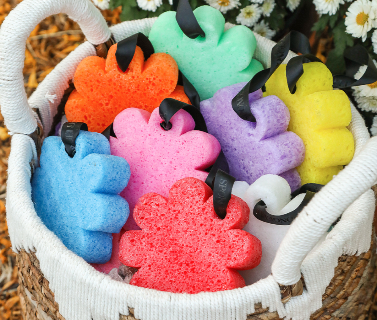 Spongelle Wildflowers Sponge
